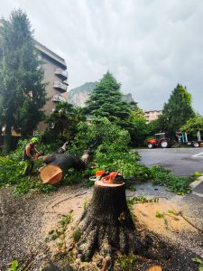 ABBATTIMENTI CONTROLLATI