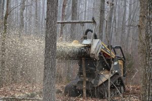 daf, industrial forestry mulcher, brushcutters, shredders, forestry, machine, vegetation management, vegetation management, vegetation management, vegetation management, vegetation management, vegetation management